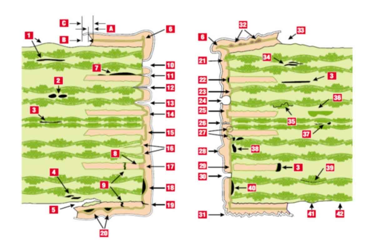 PCB真空贴膜机：提升生产效率与质量的革命性设备  第1张